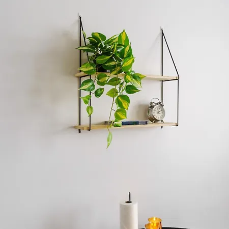 Northern By Lapland Host